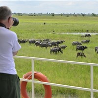 Ichingo Chobe River Lodge - namibie_Ichingo Chobe Lodge - ckmarcopolo.cz