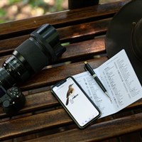 Ichingo Chobe River Lodge - ckmarcopolo.cz