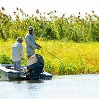 Ichingo Chobe River Lodge - ckmarcopolo.cz