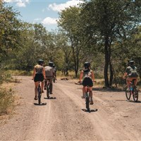 Ichingo Chobe River Lodge - ckmarcopolo.cz