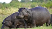 Chobe Princess - loď na řece Zambezi - Bostwana_Chobe