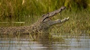 Chobe Princess - loď na řece Zambezi - Bostwana_Chobe