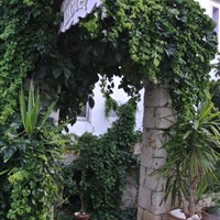 Hideway Hotel - Hideway_Hotel - ckmarcopolo.cz