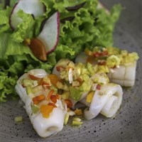 Catalonia Royal La Romana - Adults only - Catalonia-Royal-La-Romana-Adults-Only-5-lobby-restaurant-bar-8 - ckmarcopolo.cz