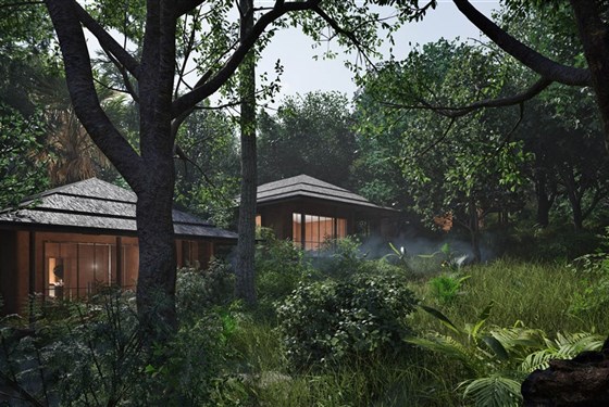 Marco Polo - Gorilla Forest Lodge Bwindi - Uganda_Bwindi_Gorila Forest Lodge