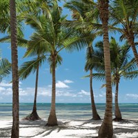 Catalonia Royal Bavaro - Adults Only - Catalonia-Royal-Bavaro-2-beach - ckmarcopolo.cz