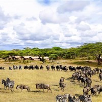 Africa Safari Serengeti Kusini 4* - Tanzanie_Serengeti_AS Kusini_ - ckmarcopolo.cz