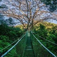 Buena Vista del Rincón Eco Adventure Park Hotel & Spa - ckmarcopolo.cz