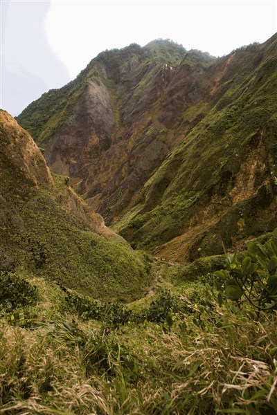 Plavba - Zelené srdce Karibiku - Objevte přírodní krásy s Caribbean Princess 5*