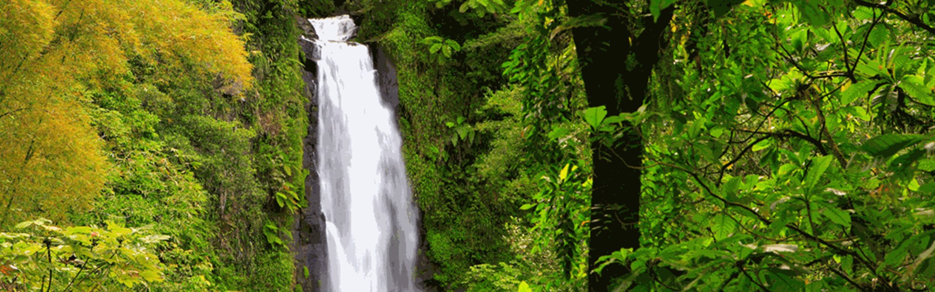 Plavba - Zelené srdce Karibiku - Objevte přírodní krásy s Caribbean Princess 5* - 