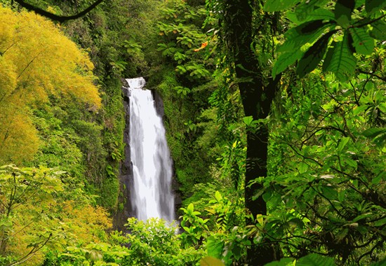 Plavba - Zelené srdce Karibiku - Objevte přírodní krásy s Caribbean Princess 5* - Antigua a Barbuda - 