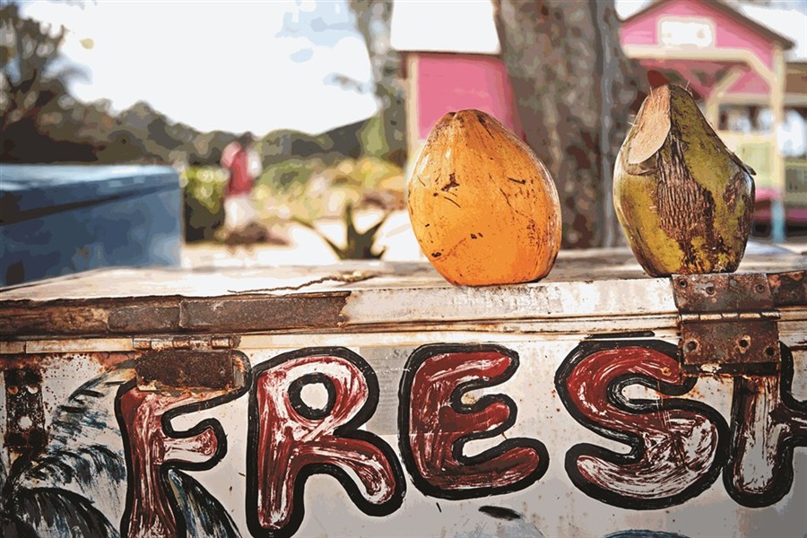 Plavba - Slunečné klenoty Karibiku - Zažijte bílé pláže s Caribbean Princess 5*