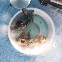 Das Falkenstein - ckmarcopolo.cz