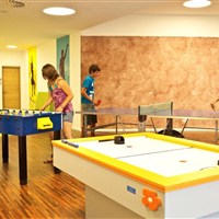 Hotel Grüner Baum - ckmarcopolo.cz