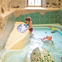 Hotel Grüner Baum - ckmarcopolo.cz