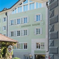 Hotel Grüner Baum - ckmarcopolo.cz