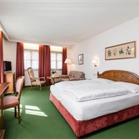 Hotel Grüner Baum - ckmarcopolo.cz