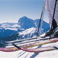 Hotel Grüner Baum - ckmarcopolo.cz