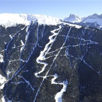 Hotel Grüner Baum - ckmarcopolo.cz