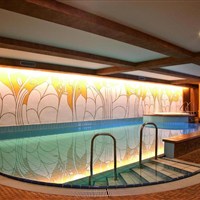 Hotel Grüner Baum - ckmarcopolo.cz