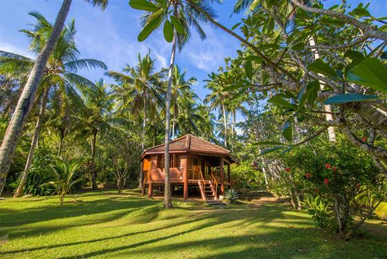 Marco Polo - Palm Paradise Cabanas + Villas - Cabanas
