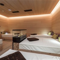 Aktiv & Vitalhotel Erica (zima) - ckmarcopolo.cz