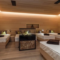 Aktiv & Vitalhotel Erica (zima) - ckmarcopolo.cz