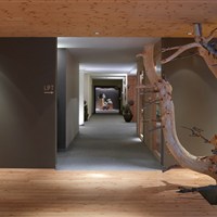 Arosea Life Balance Hotel (zima) - ckmarcopolo.cz