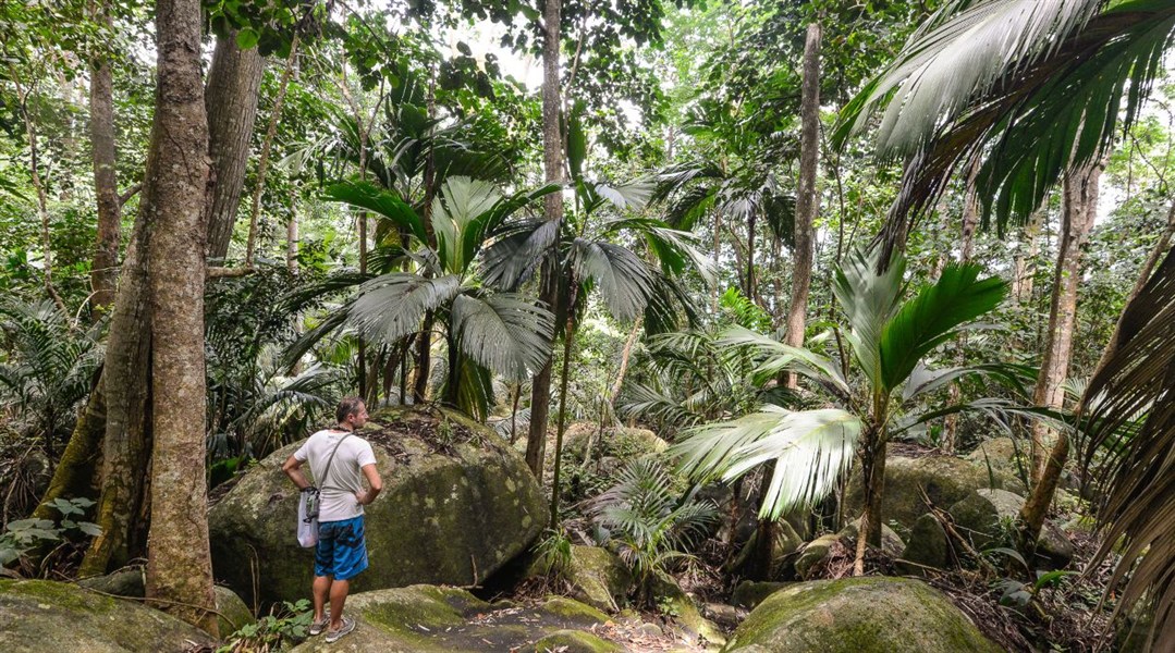Plavba – Katamaránem za tajemstvím Seychel