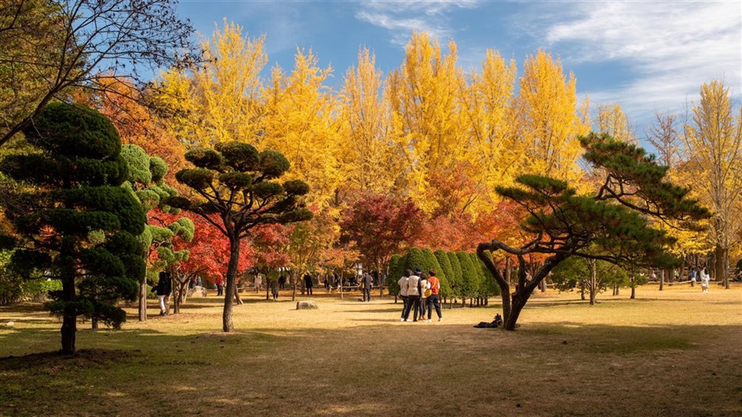 Barvy a chutě Jižní Koreje: 9 dní s českým průvodcem
