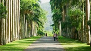 Esence Srí Lanky - Exotický Cejlon s českým průvodcem - Sri Lanka_Kandy_Botanic Garden