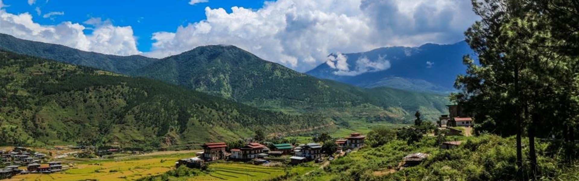 Od čajových plantáží Darjeelingu k himálajským klášterům Bhútánu - 