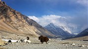 Tibet a Mount Everest - 8denní dobrodružství s průvodcem