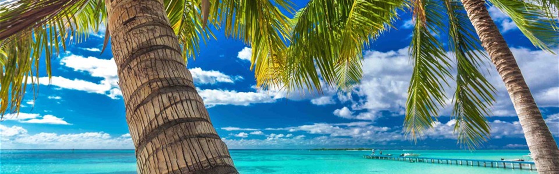 Tichomořská odysea: velká cesta ostrovy Pacifiku - 