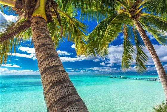 Tichomořská odysea: velká cesta ostrovy Pacifiku - 