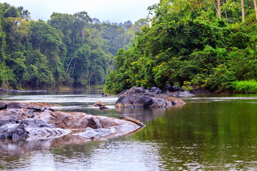 Okruh po Francouzské Guyaně a Suriamu se zastávkou v Panamě