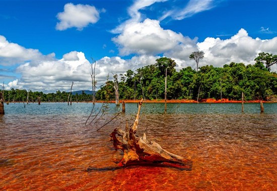 Okruh po Francouzské Guyaně a Suriamu se zastávkou v Panamě - Karibik a Střední Amerika