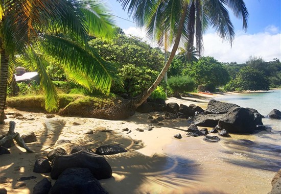 Havajské ostrovy za přírodou, odpočinkem i poznáním - USA - 
