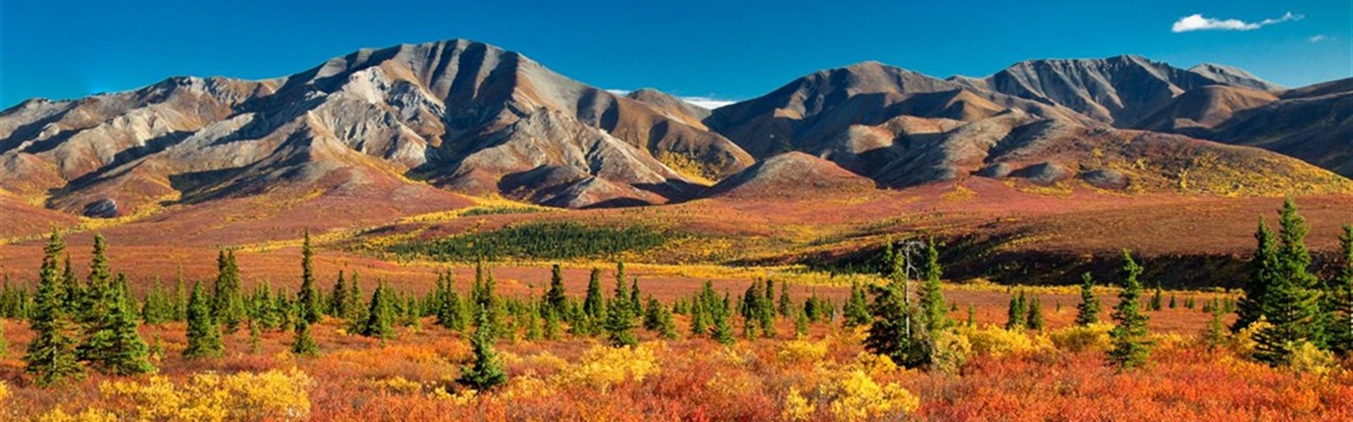 Aljaška - za divokou přírodou s českým průvodcem - 