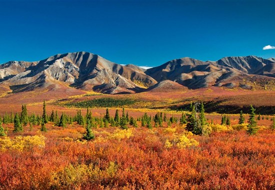 Aljaška - za divokou přírodou s českým průvodcem - USA - 