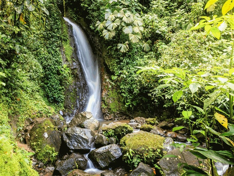Kostarická odysea - od Pacifiku ke Karibiku