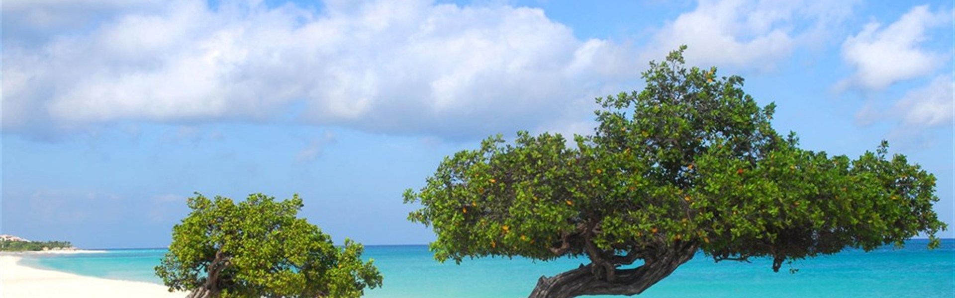 Plavba - Vánoce v Karibiku - 