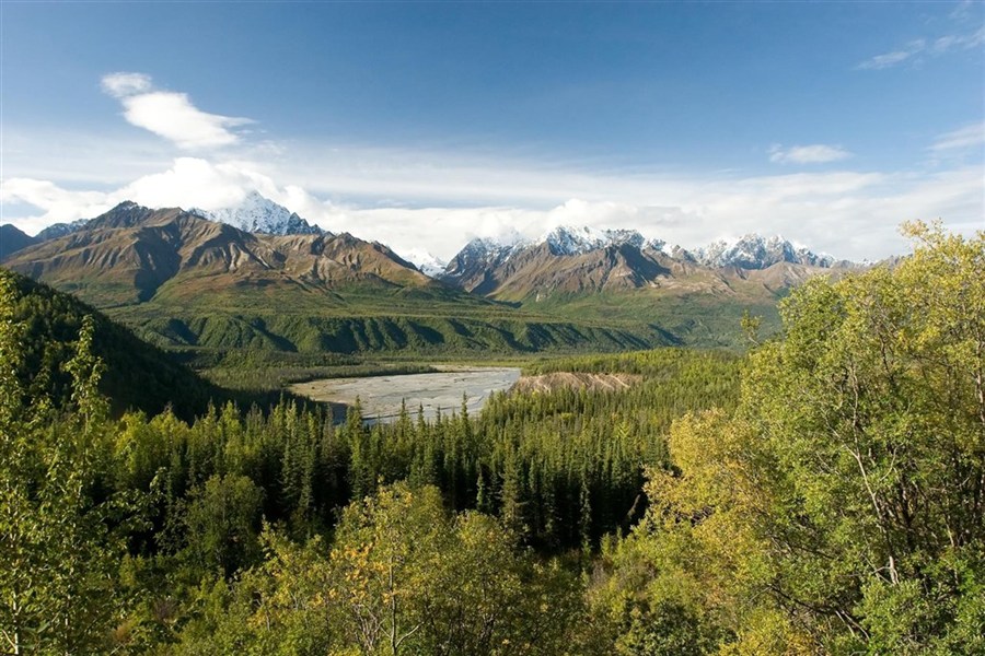 Aljaška - za divokou přírodou s českým průvodcem