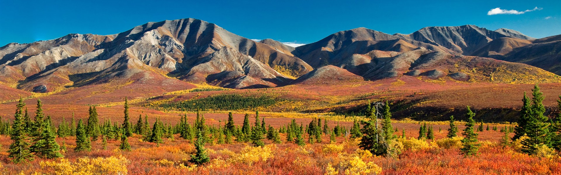 Aljašská odysea a po stopách zlatokopů na Yukonu s českým průvodcem - 