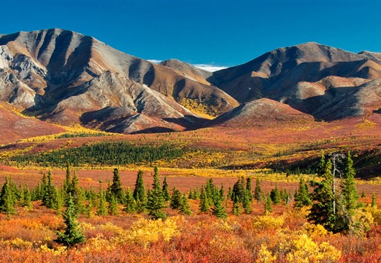 Aljašská odysea a po stopách zlatokopů na Yukonu s českým průvodcem - Kanada - 