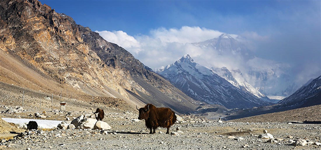 Tibet a Mount Everest - 8denní dobrodružství s průvodcem