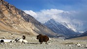 Tibet a Mount Everest - 8denní dobrodružství s průvodcem