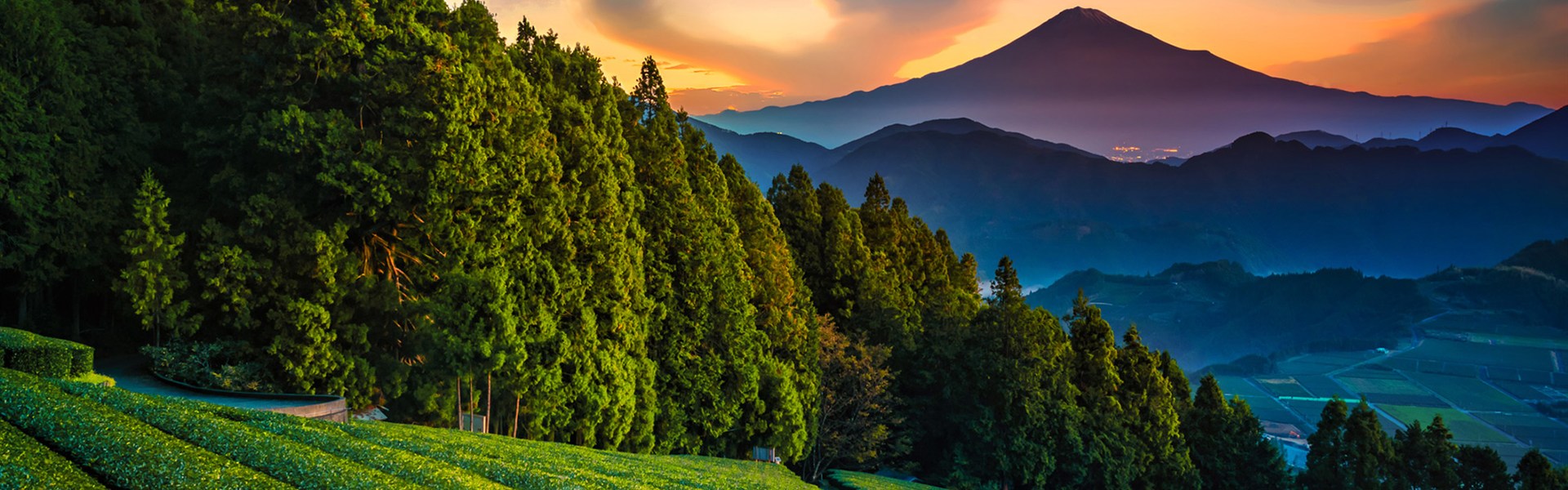 Japonsko: hledání japonské duše s českým průvodcem - 