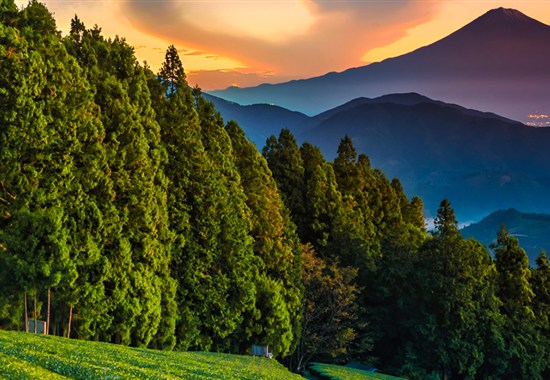 Japonsko: hledání japonské duše s českým průvodcem - Japonsko - 