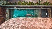 Pobyt u moře - The Tubkaak hotel Krabi - premier pool villa